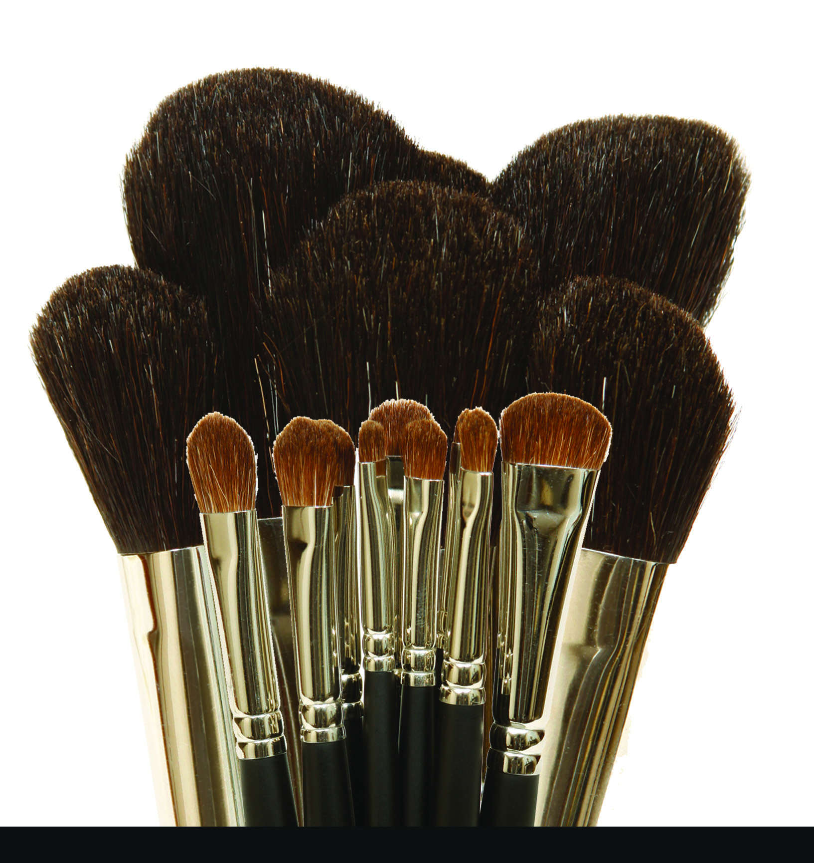 Eye and Face Chisel Brushes